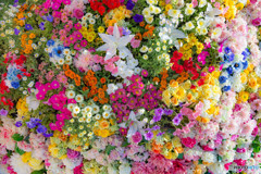 キミに花束を 