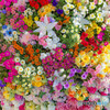 キミに花束を 