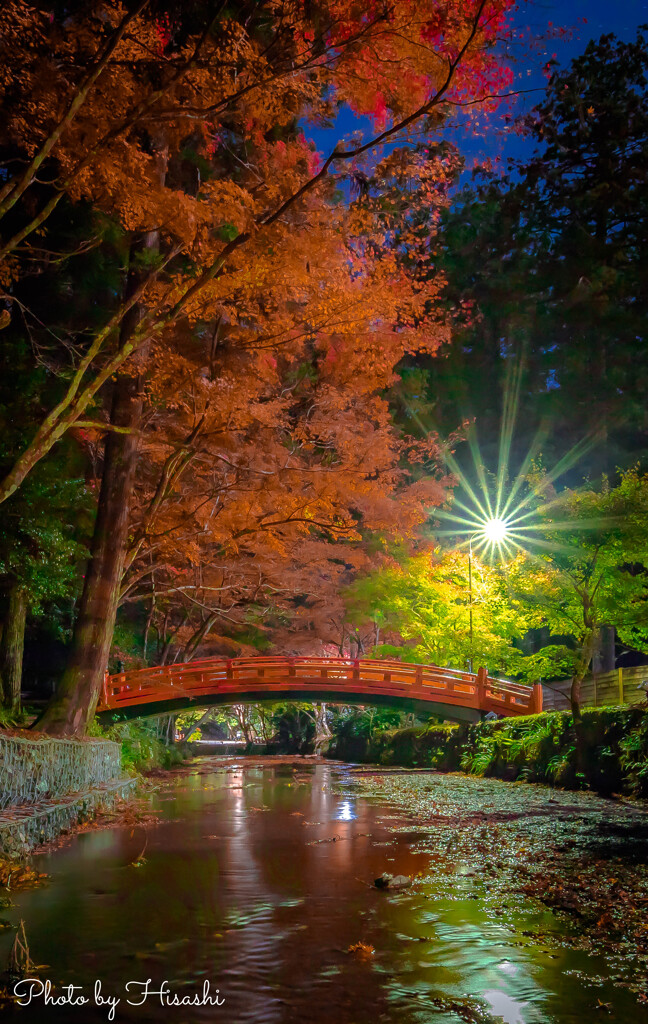 真夜中の彩　Ⅱ
