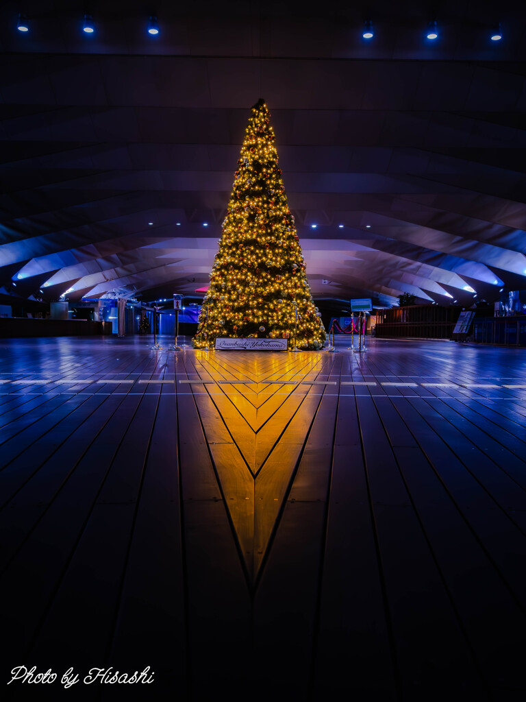 ひとりぼっちのクリスマスツリー