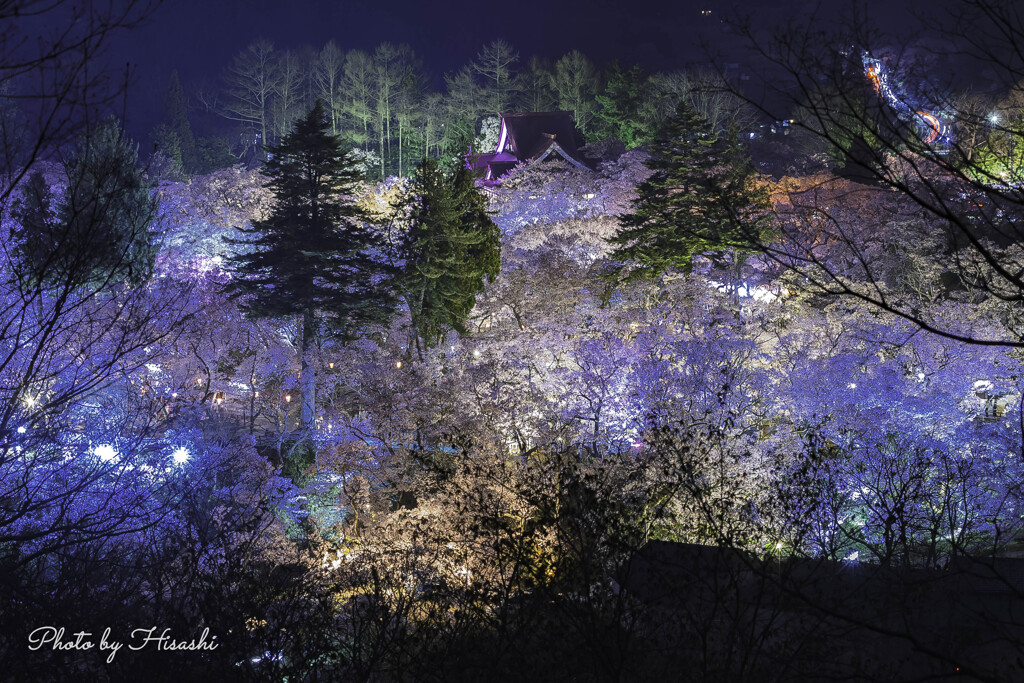 ３万歩の夜景