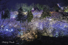３万歩の夜景