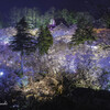 ３万歩の夜景
