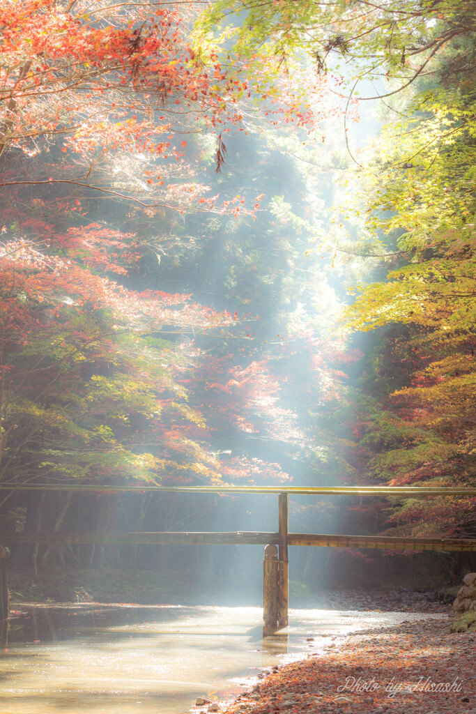 ひ　か　り