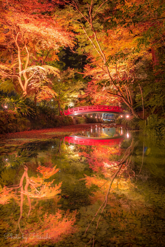 Reflection