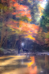 光と水―もうひとつの物語―