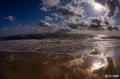 March　Wave