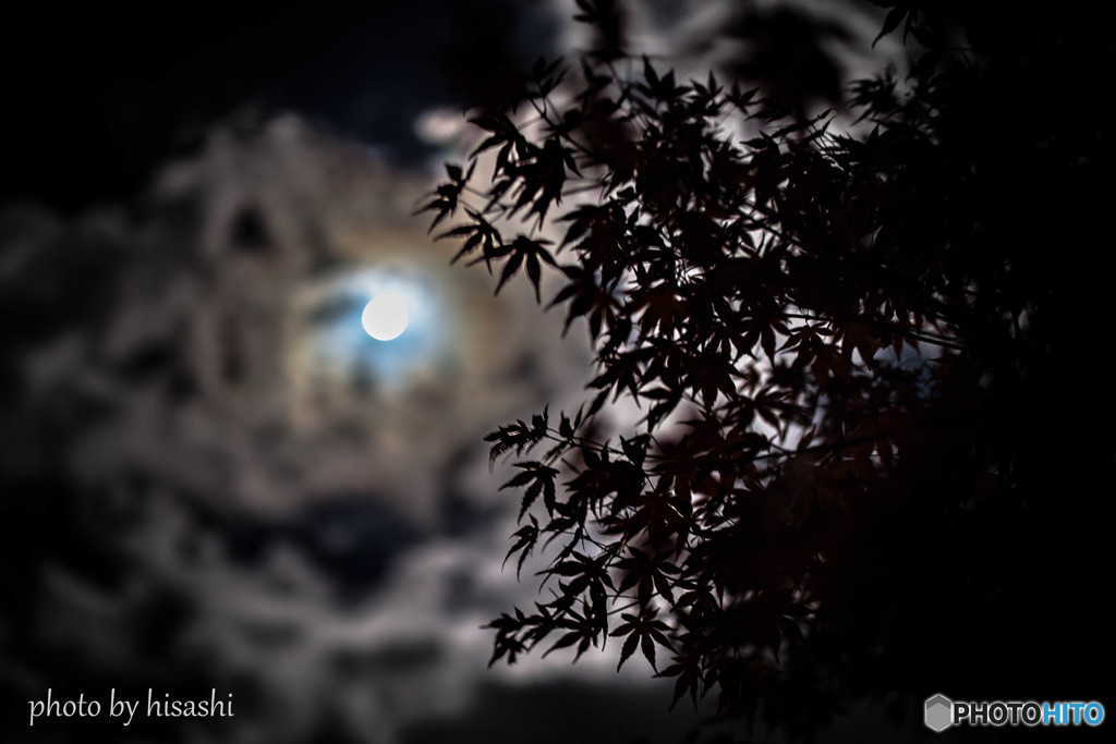 月夜