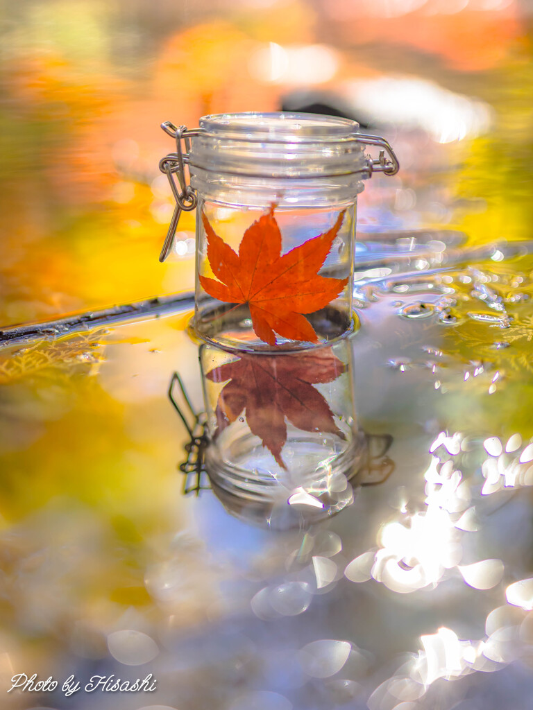 小さい秋、見つけた