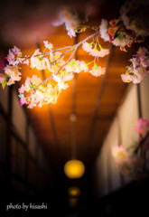 Spring has come