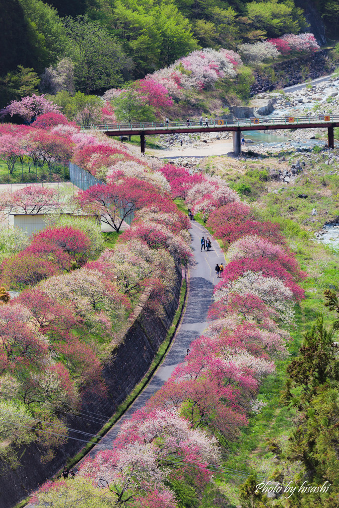 花道