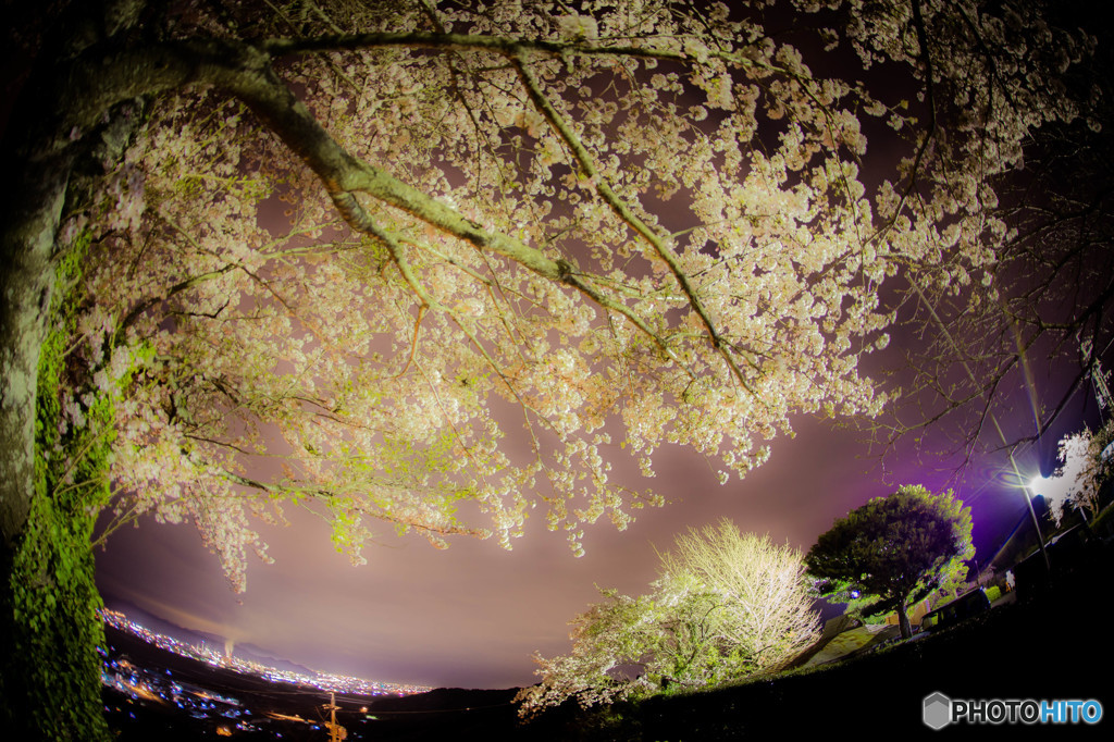 早過ぎた春の夜　ⅱ