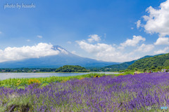 夏富士