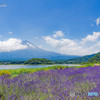 夏富士
