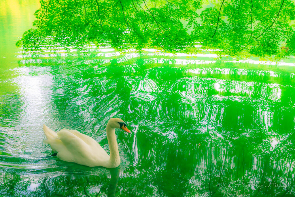 水鏡の妖精　Ⅱ