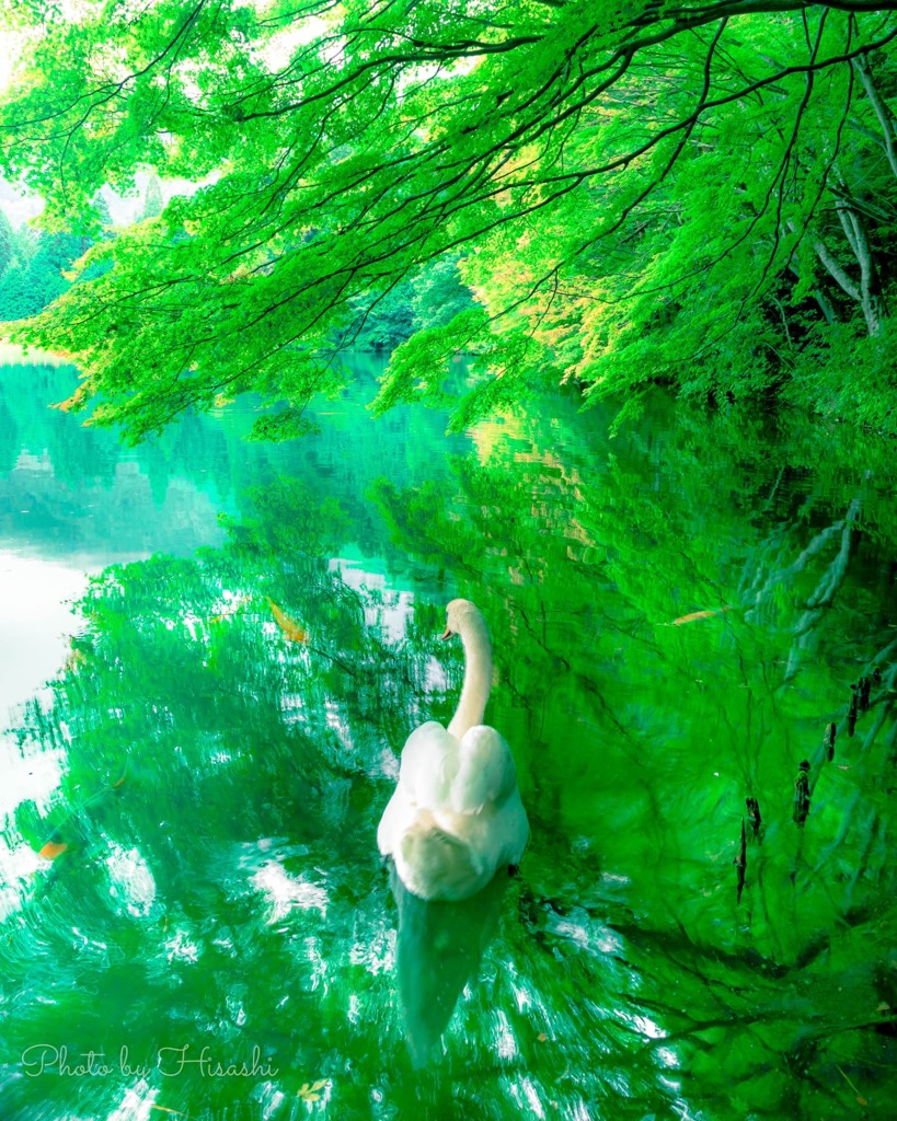 水鏡の妖精