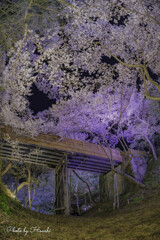 桜雲橋
