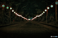 晩秋へと向かう道 