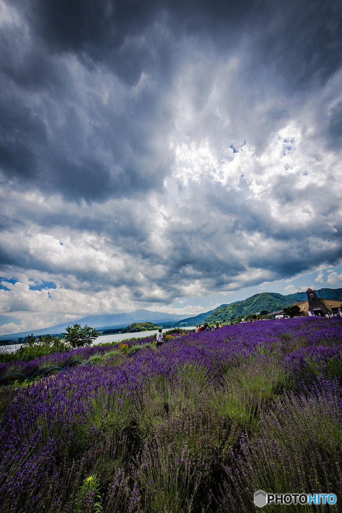 夏雲