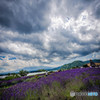 夏雲