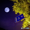Clair de Lune