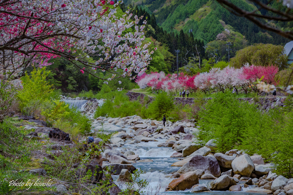 川、彩る　－その弐－
