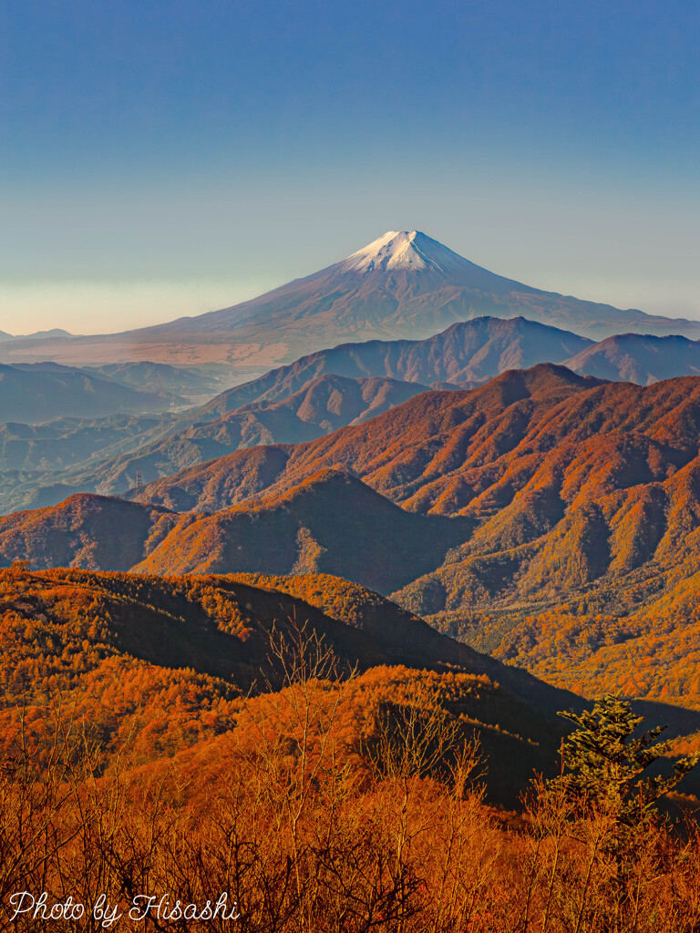 彩りの季節到来