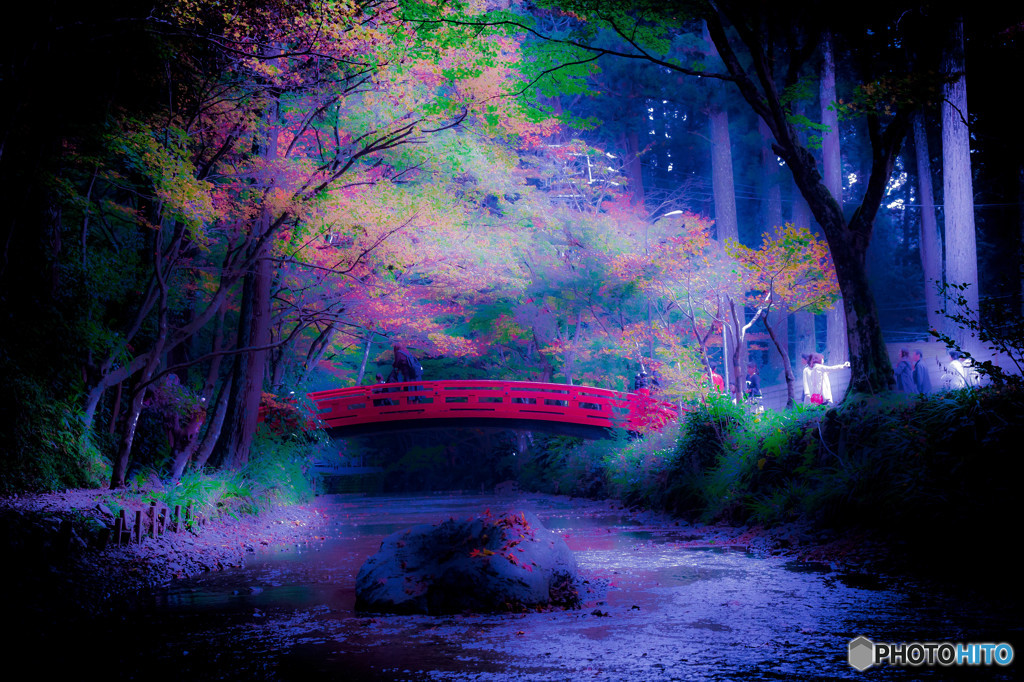 暖秋の彩　Ⅱ