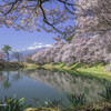 春の庭にて