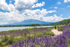 主役のいない風景