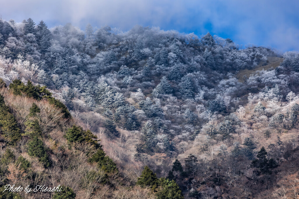 600㍉で見る風景