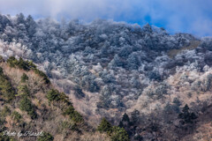 600㍉で見る風景