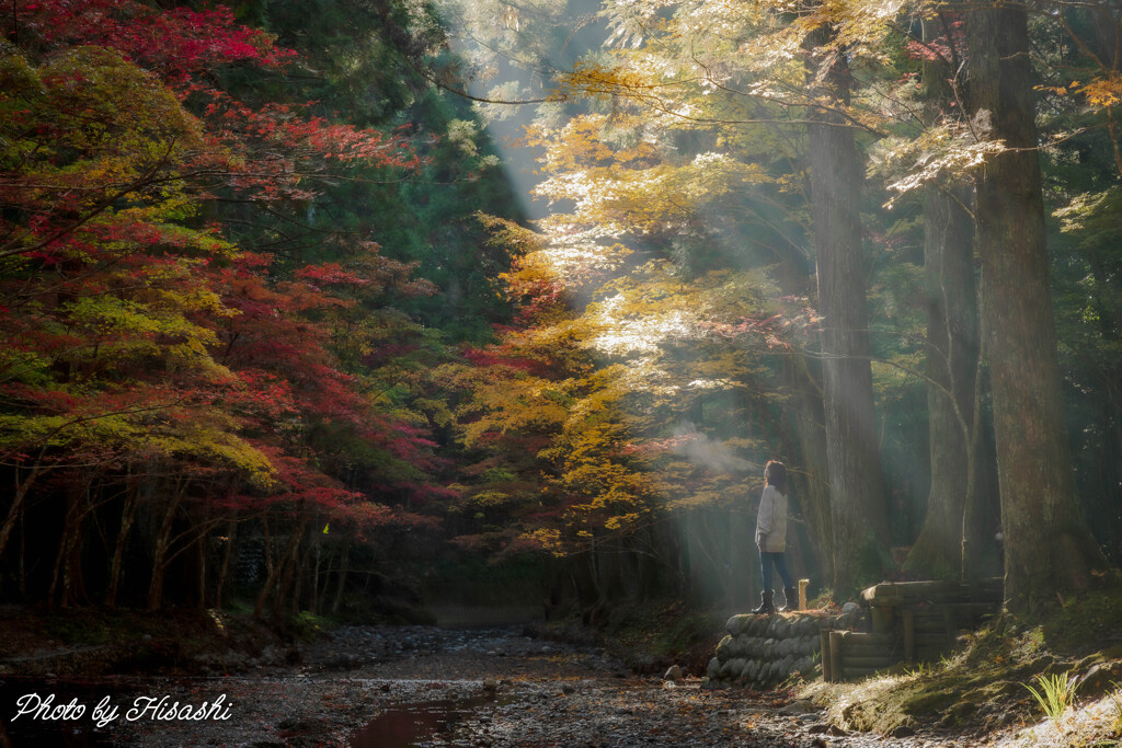 陽の当たる場所へ