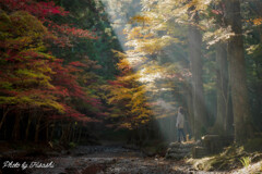 陽の当たる場所へ