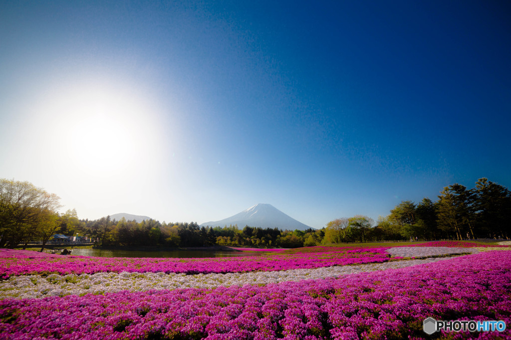 朝が来た　その弐