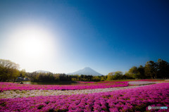 朝が来た　その弐