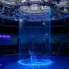 Dolphin Dream　2