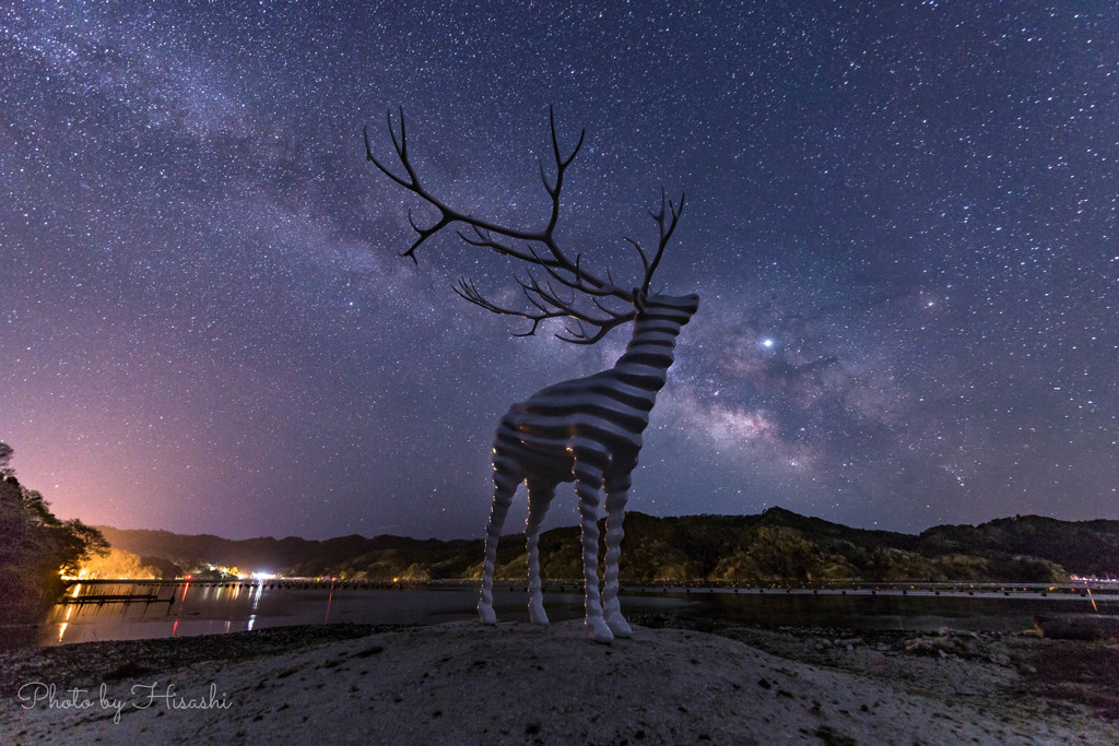 星降る浜辺