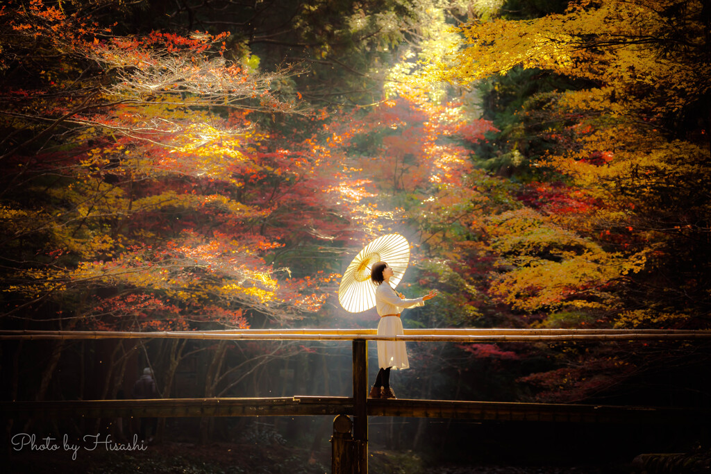 白き天使