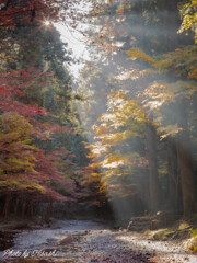 陽の当たる場所へ　2