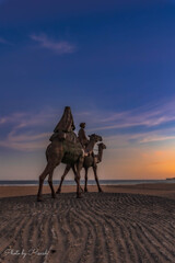 ７月のCAMEL