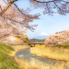 春の小川