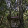 21世紀森公園