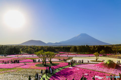 色彩の富士  色彩の富士