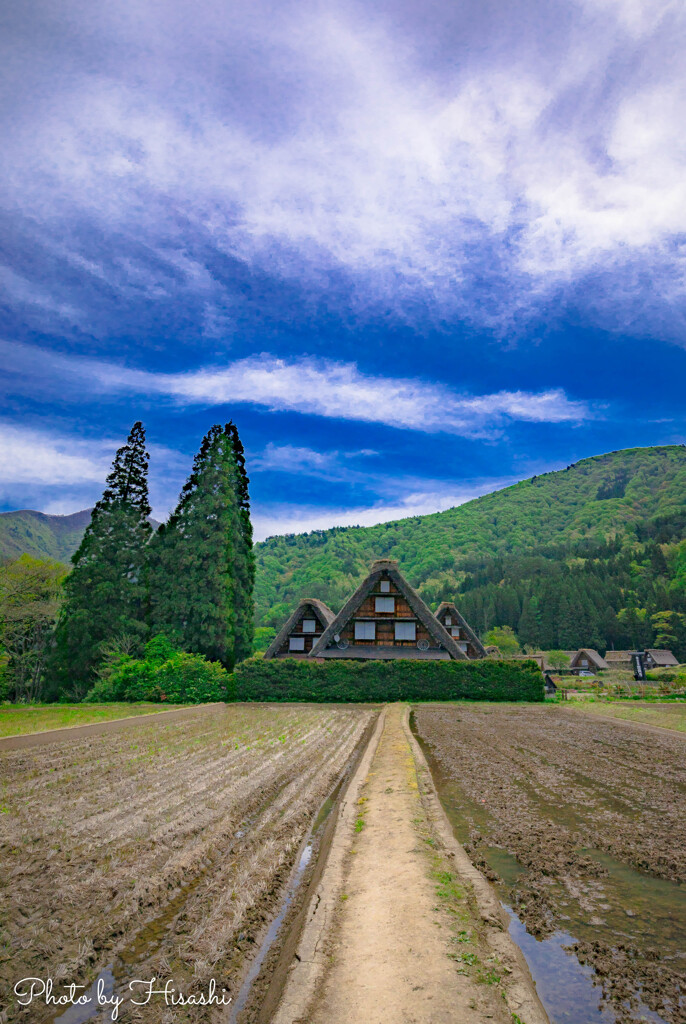 皐月の白川郷Ⅱ