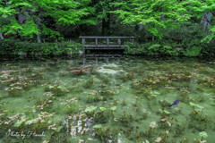Monet