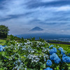 Rainy Blue