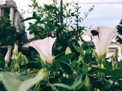 2015.06.11