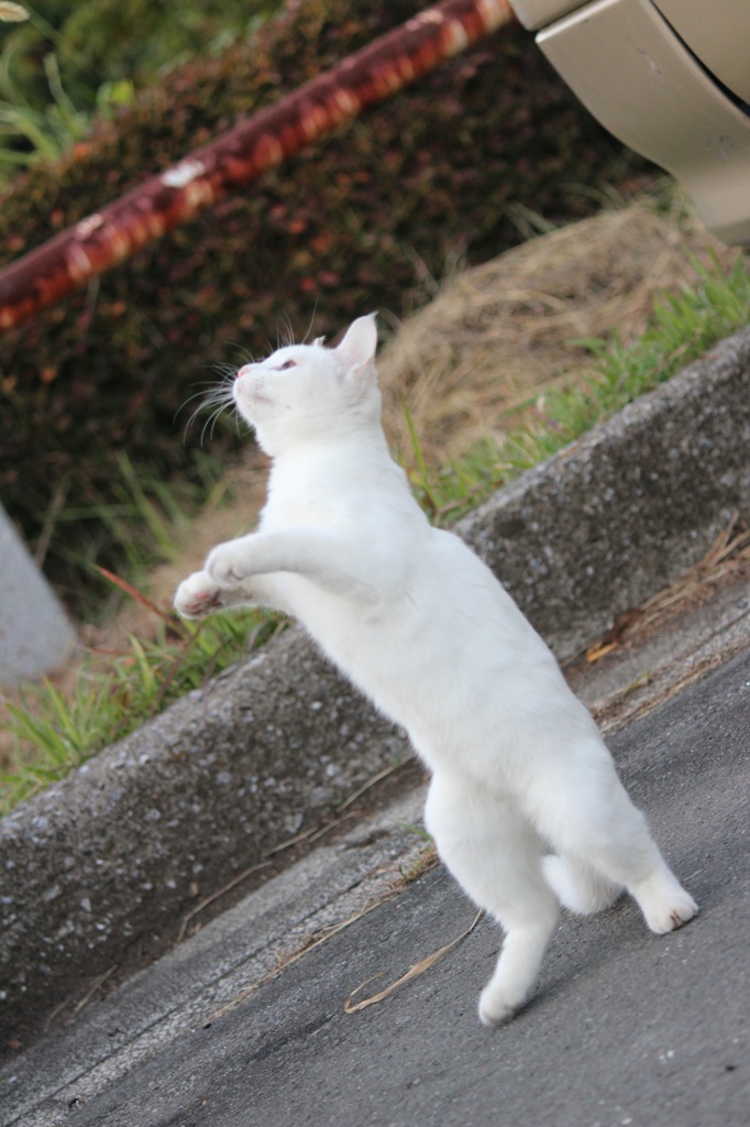 立っちっち♪