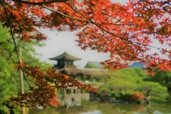 DSC00491